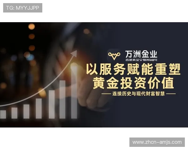 金沙国际财富有限公司:打造多元化财富管理与资产配置的专业平台 金沙国际财富有限公司:打造多元化财富管理与资产配置的专业平台