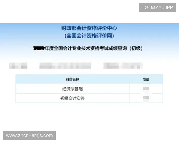 金沙国际伴宝网注册流程详解新手必看快速入门指南
